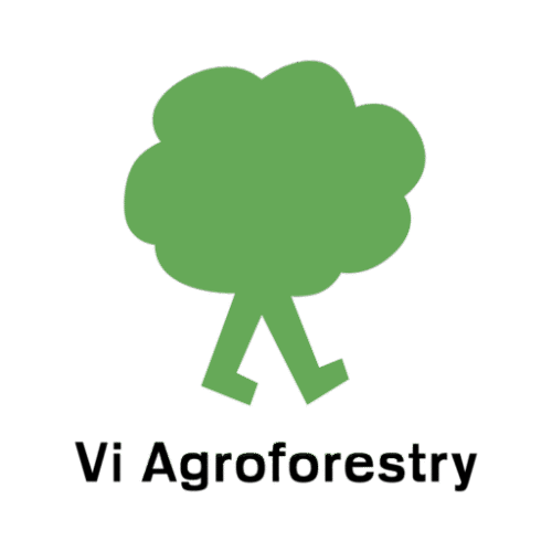 Vi Agroforestry